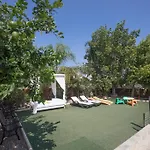 Artemisia * Protaras