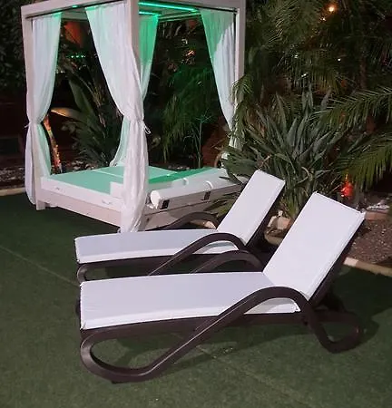 Artemisia プロタラス