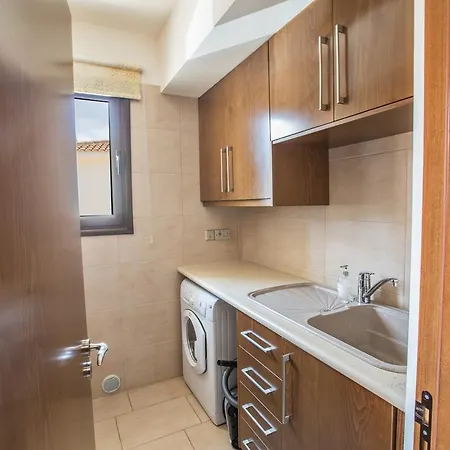 Artemisia * Протарас